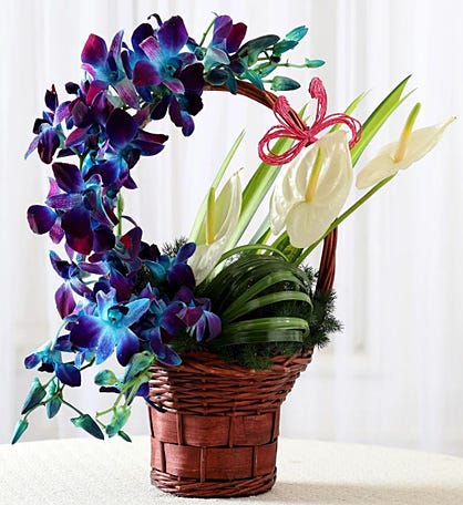 Orchid & Anthurium Basket Arrangement